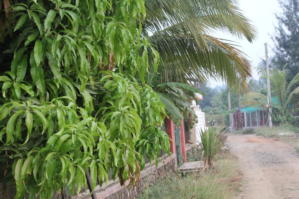 Jenjon Holiday Villa - Nagaon, Alibaug Alībāg Room photo